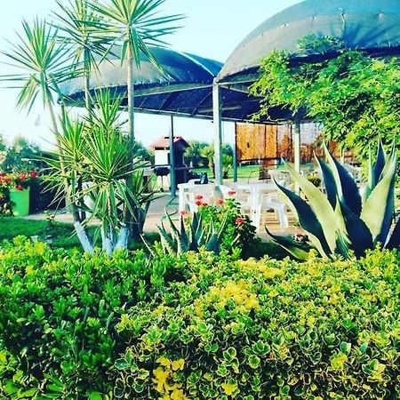 La Tenuta Del Passero Le Ferriere Εξωτερικό φωτογραφία